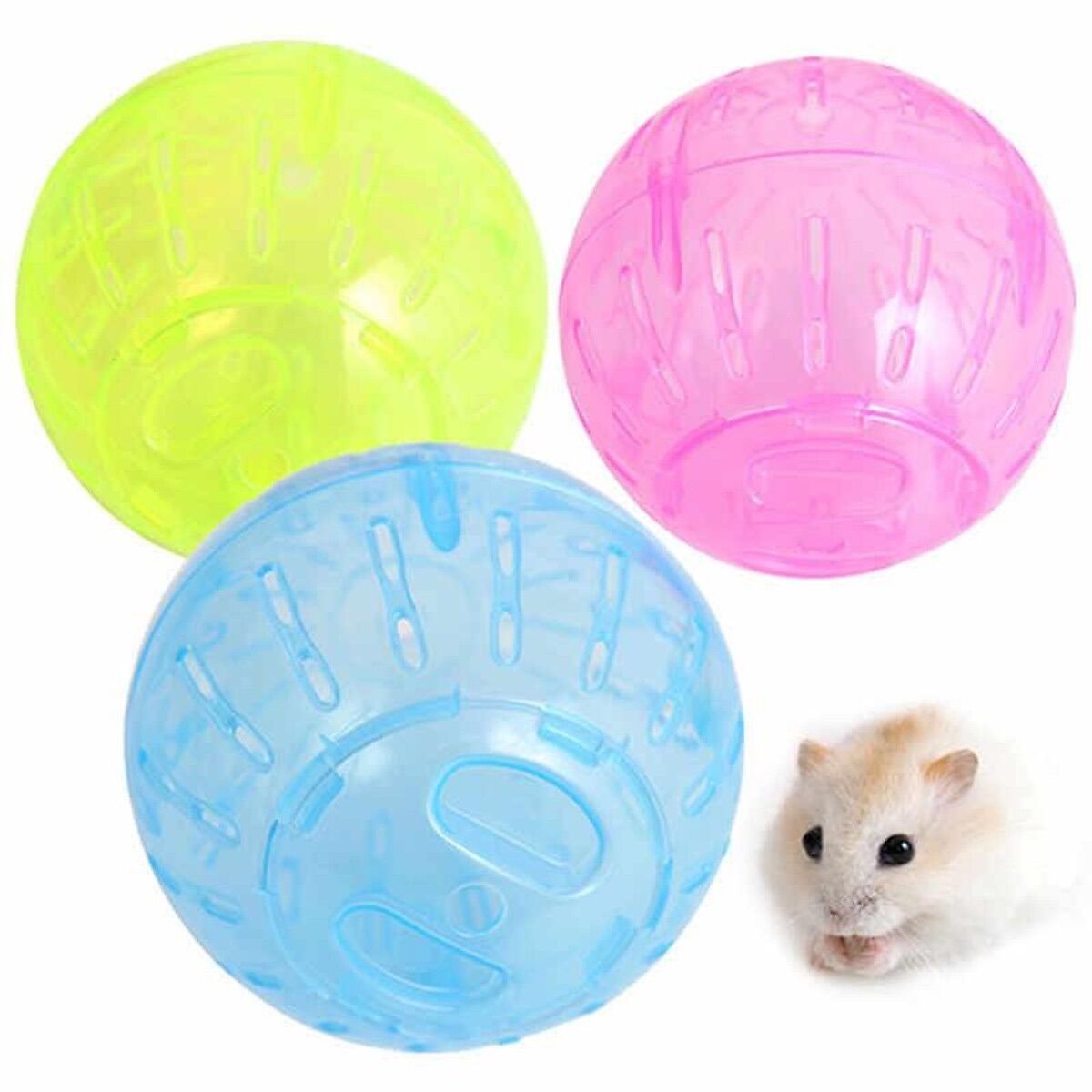 Banh chạy cho hamster