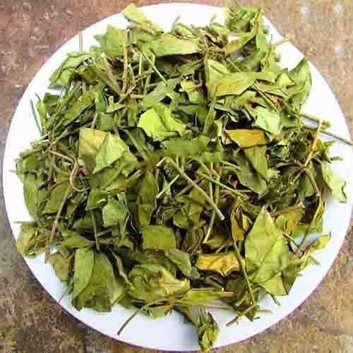 1kg dây thìa canh xanh sạch đẹp.
