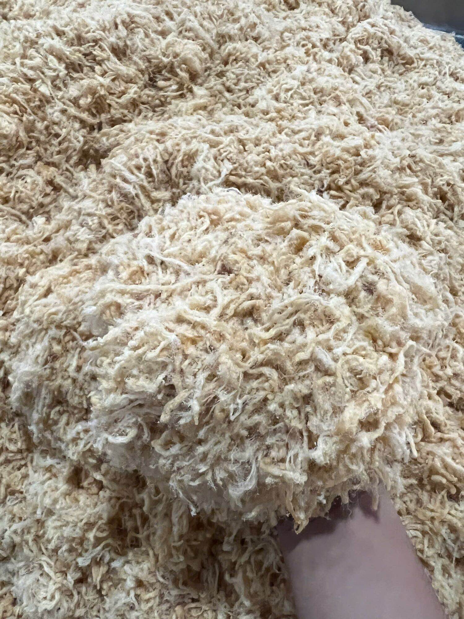 Cây 5kg chà bông xù