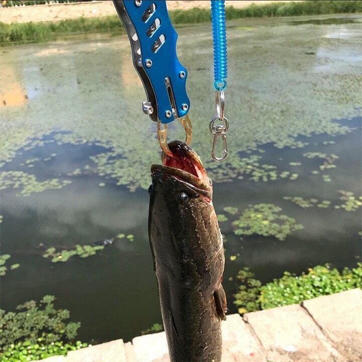 Bộ Kìm kẹp cá và Kéo gỡ mồi
