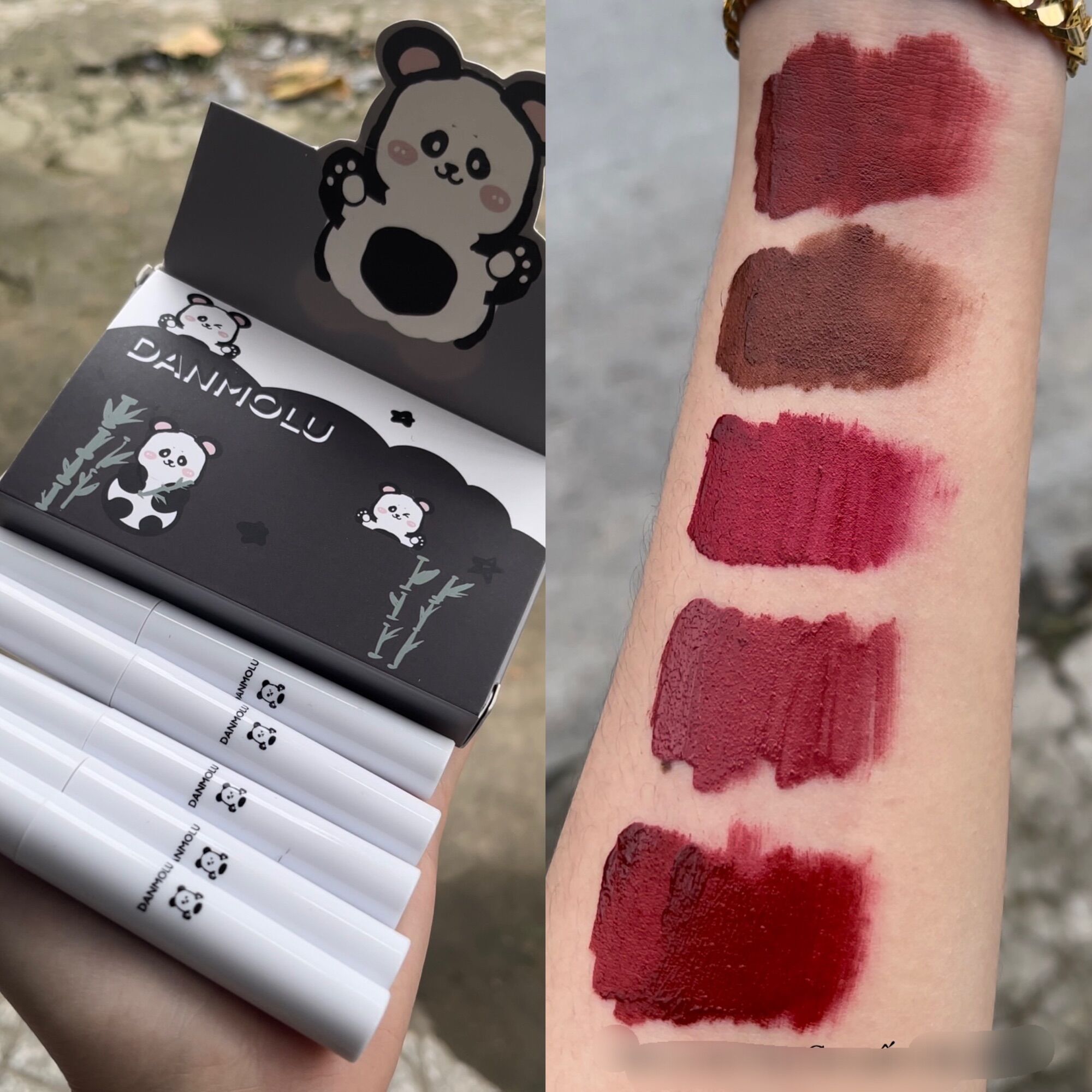 Set 5 son kem danmolu gấu đen