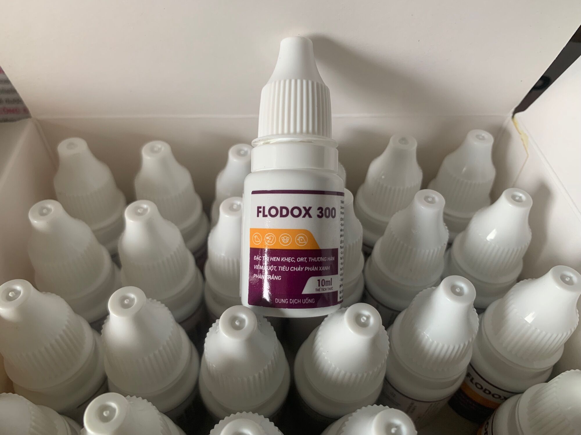10ml Flodox 300 - hen khẹc, ort, thương hàn, viêm ruột, phân xanh, phân trắng
