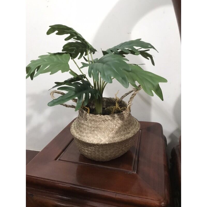 Cây cảnh giả decor cây trang trí