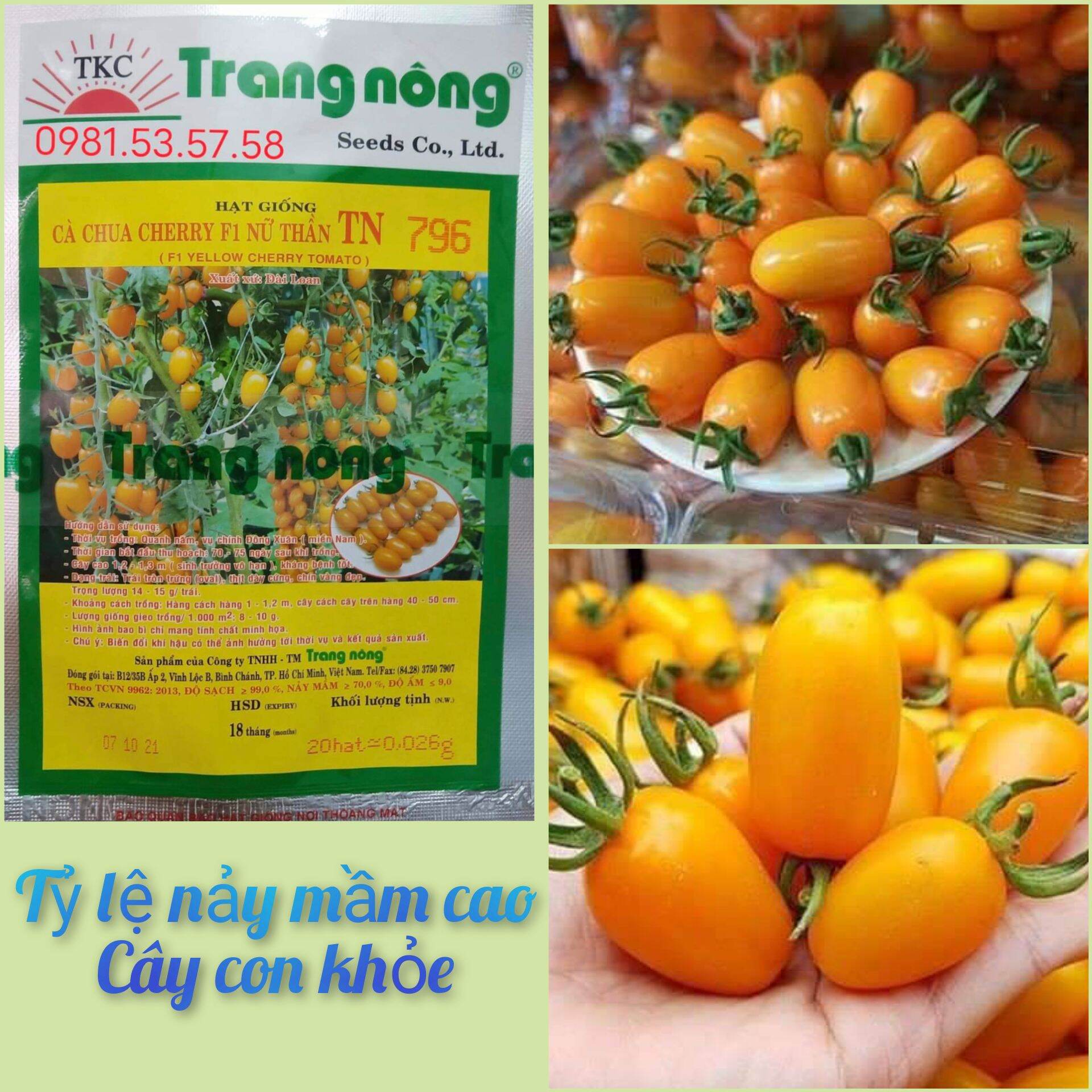 HẠT GIỐNG CÀ CHUA TRÁI CÂY NOVA | Lazada.vn