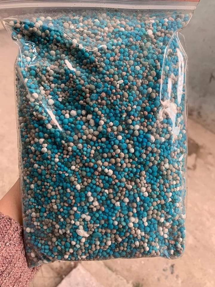 2 kg phân siêu bật mầm hoa
