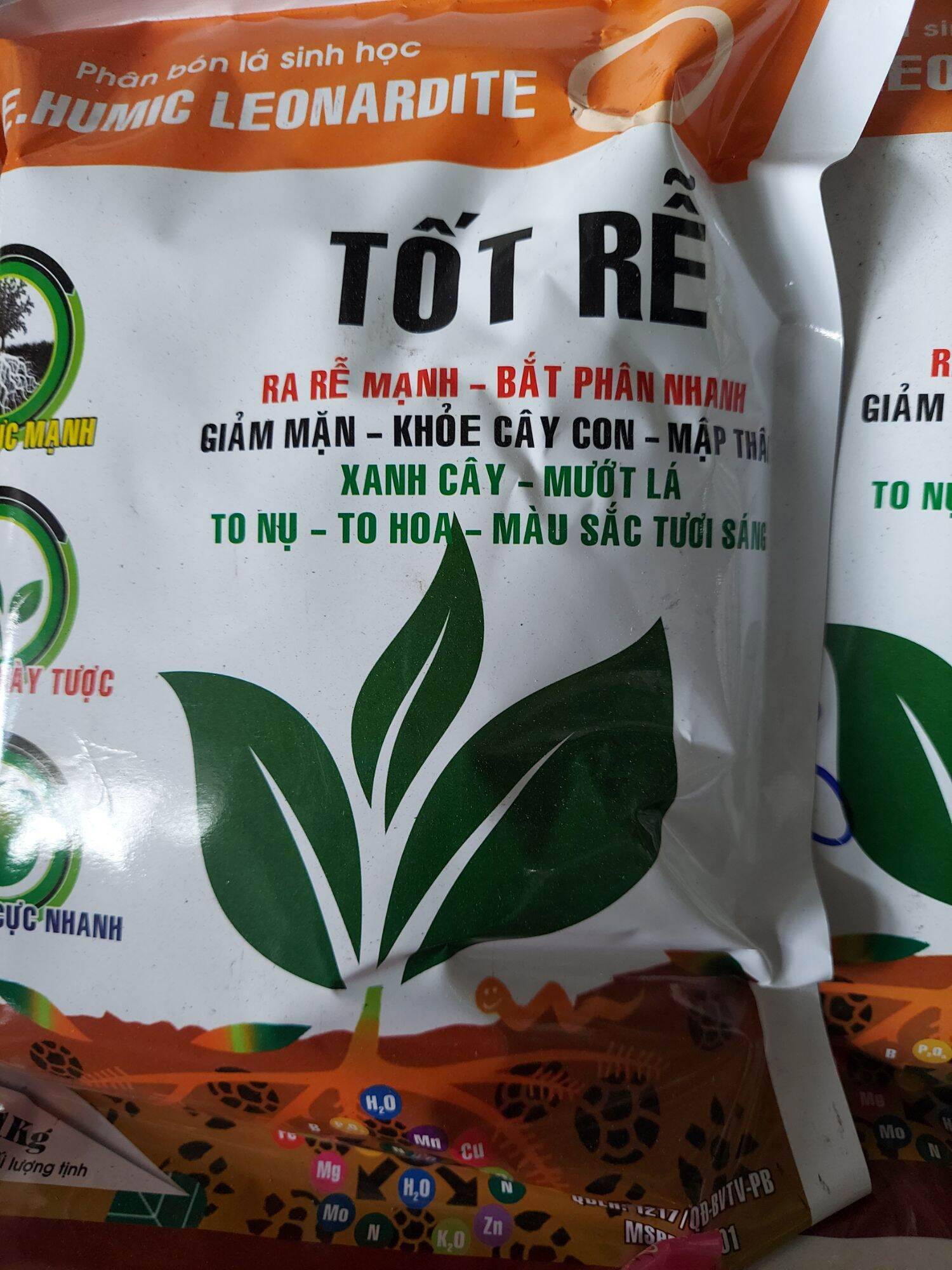 Dưỡng rễ "Tốt rễ dành cho Mai Vàng"