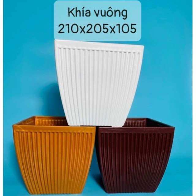 Chậu nhựa trồng cây- siêu dày