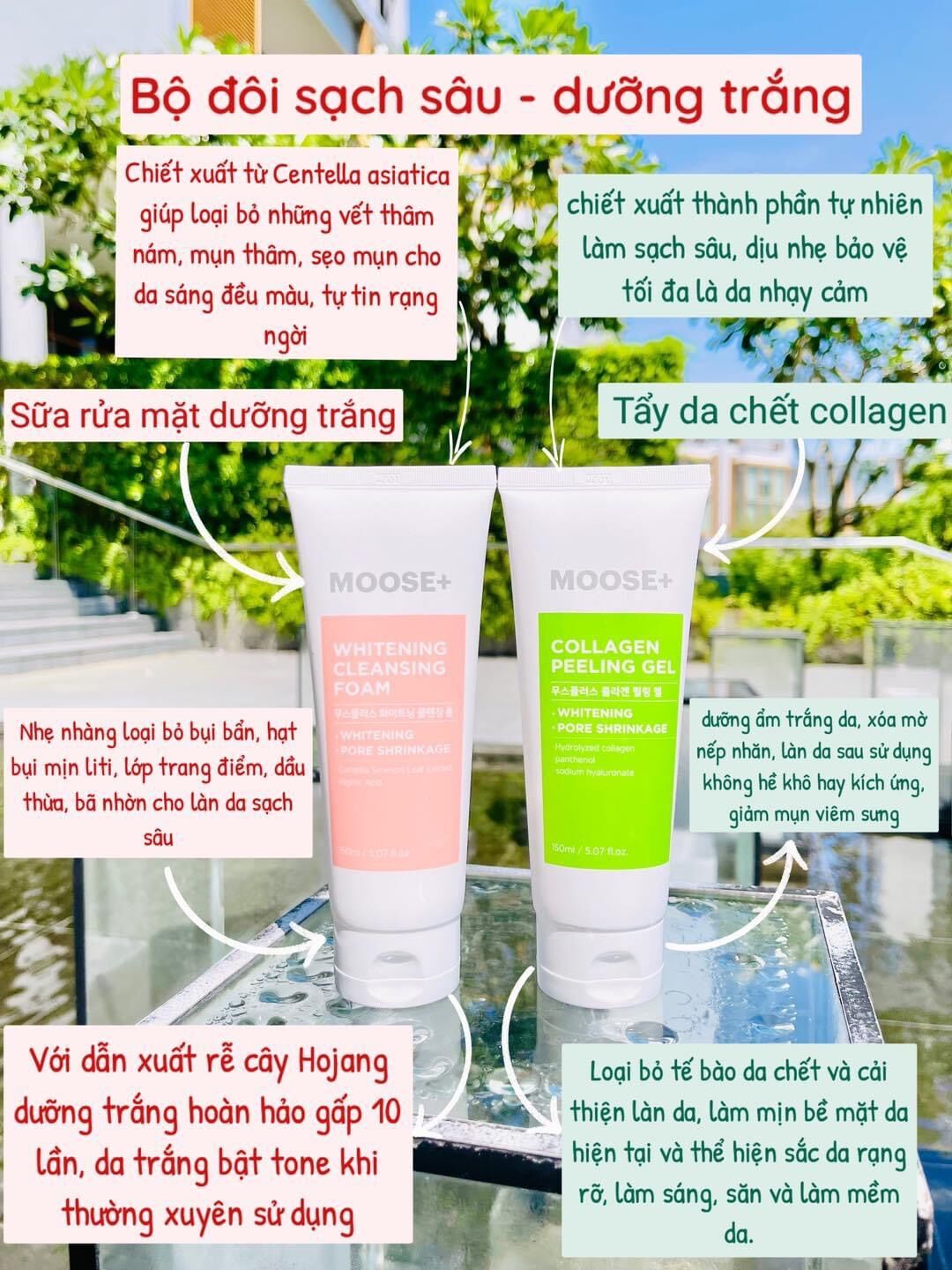 Tẩy Da Chết Collagen Hàn Quốc Moose+ [CHÍNH HÃNG]