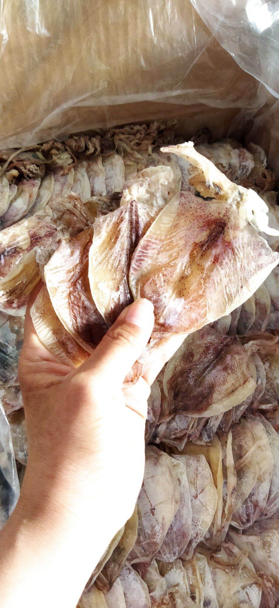 Khô mực nhỏ 500g