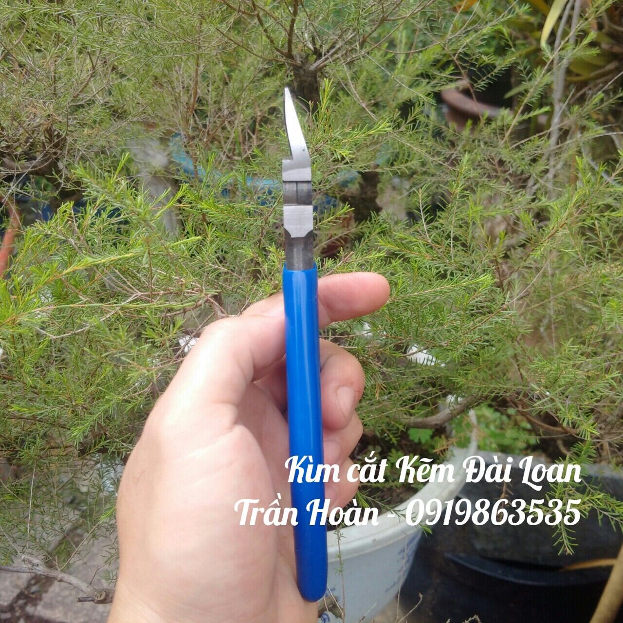 KÌM CẮT DÂY NHÔM UỐN CÂY (KÌM CẮT KẼM)