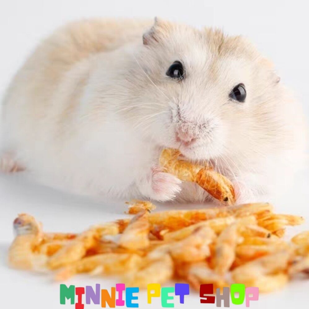 Tép sấy khô cho hamster