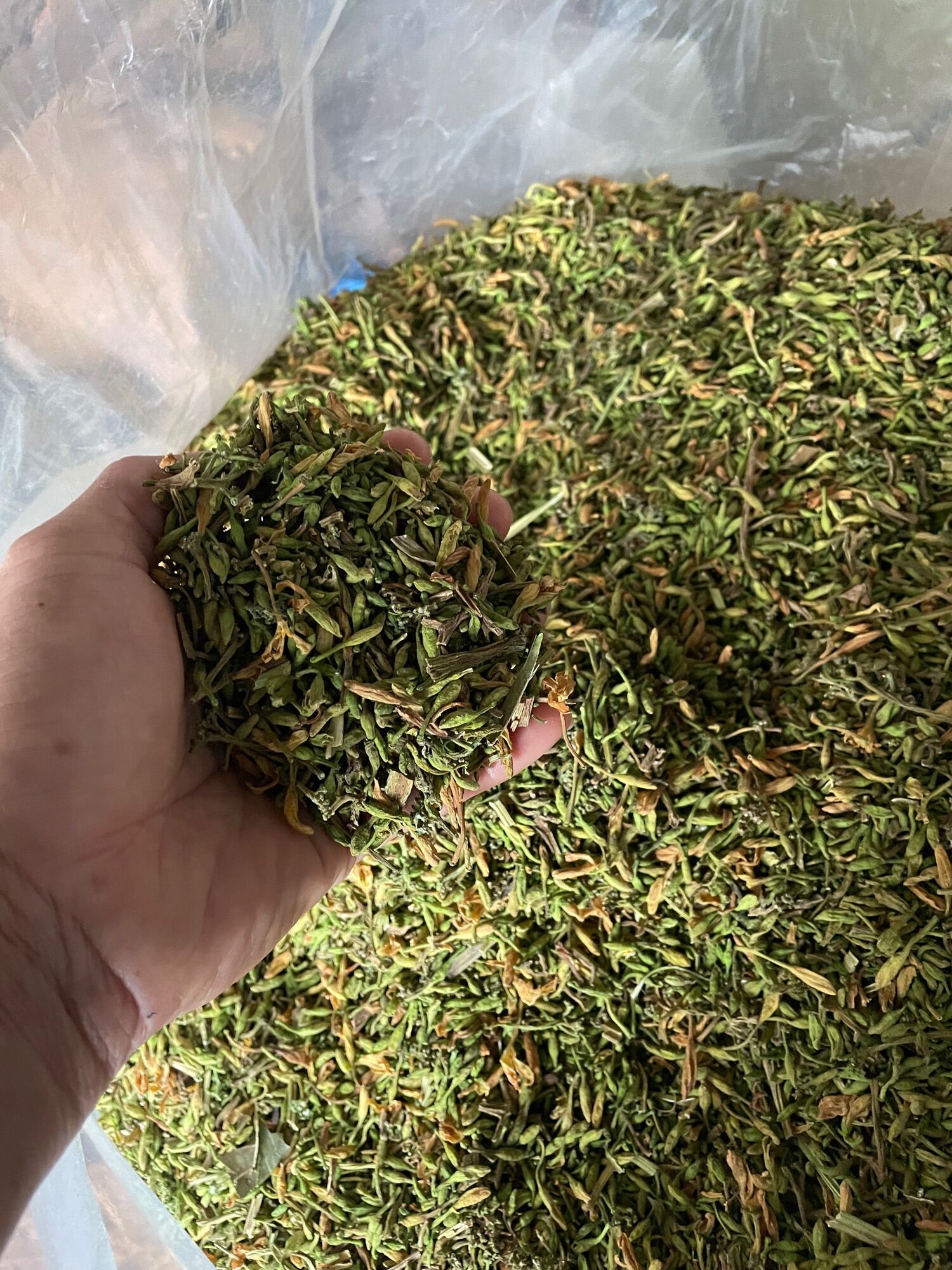 Hoa đu đủ đực sấy khô 500gr