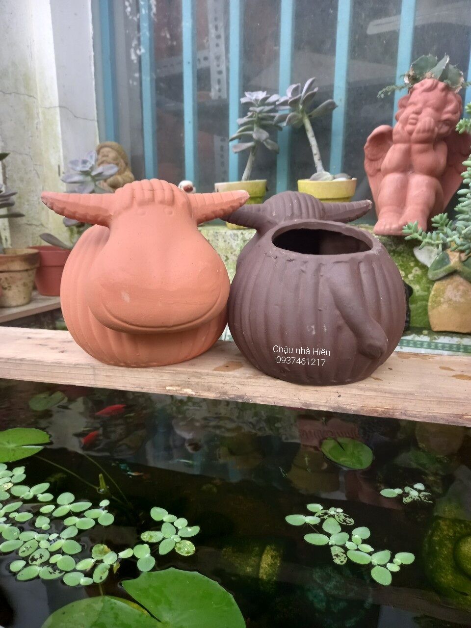 Chậu đất nung Bình Dương hình trâu bí m7x c13