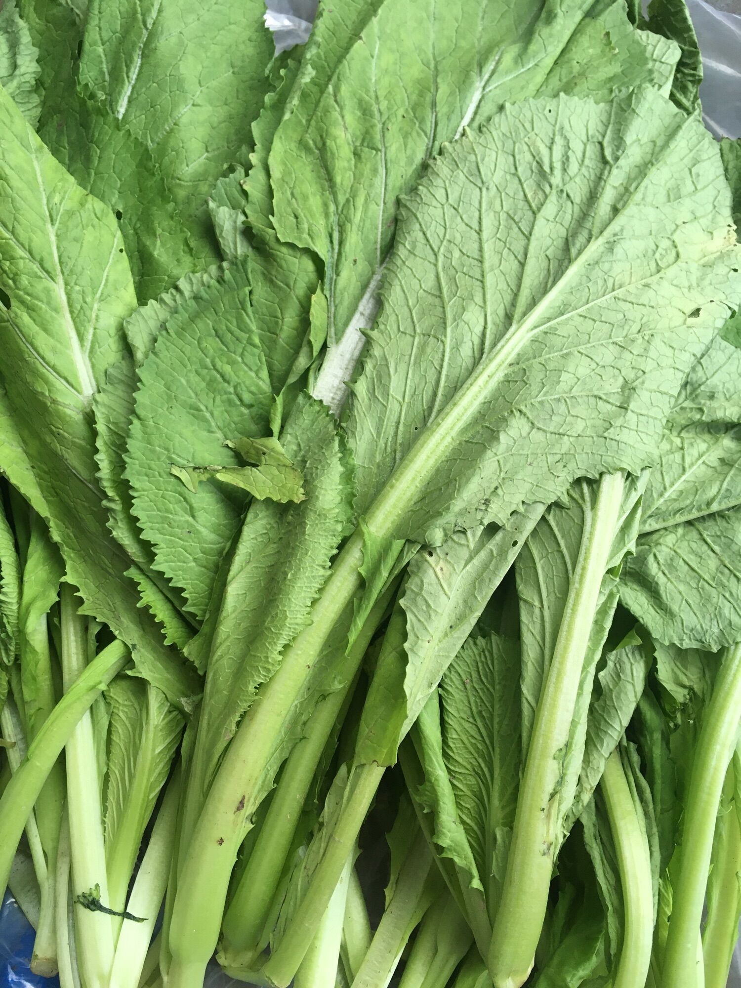 Cải Xanh