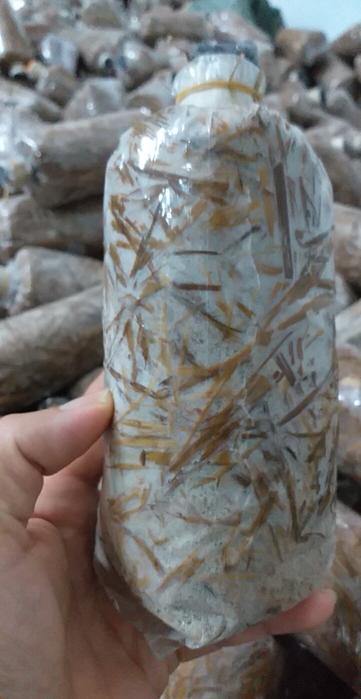combo 20 bì meo giống nấm rơm