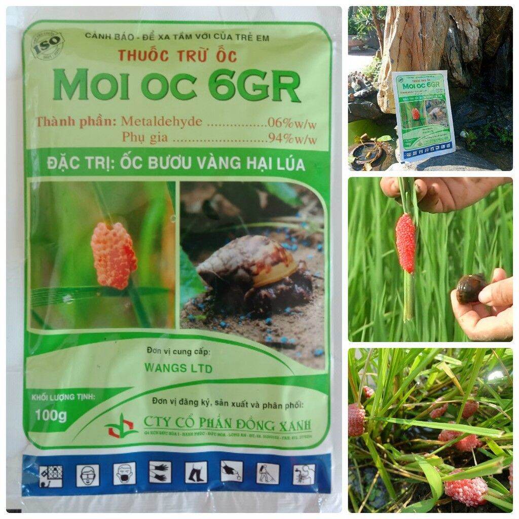 Diệt trừ ốc sên moi oc 6gr 100g - vtnn bắc từ liêm
