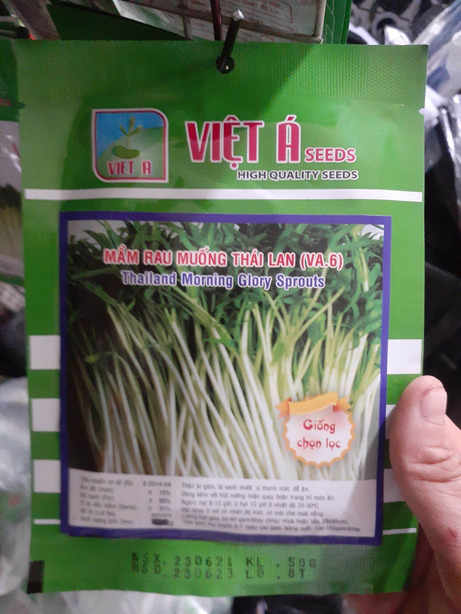 50gram hạt mầm rau muống