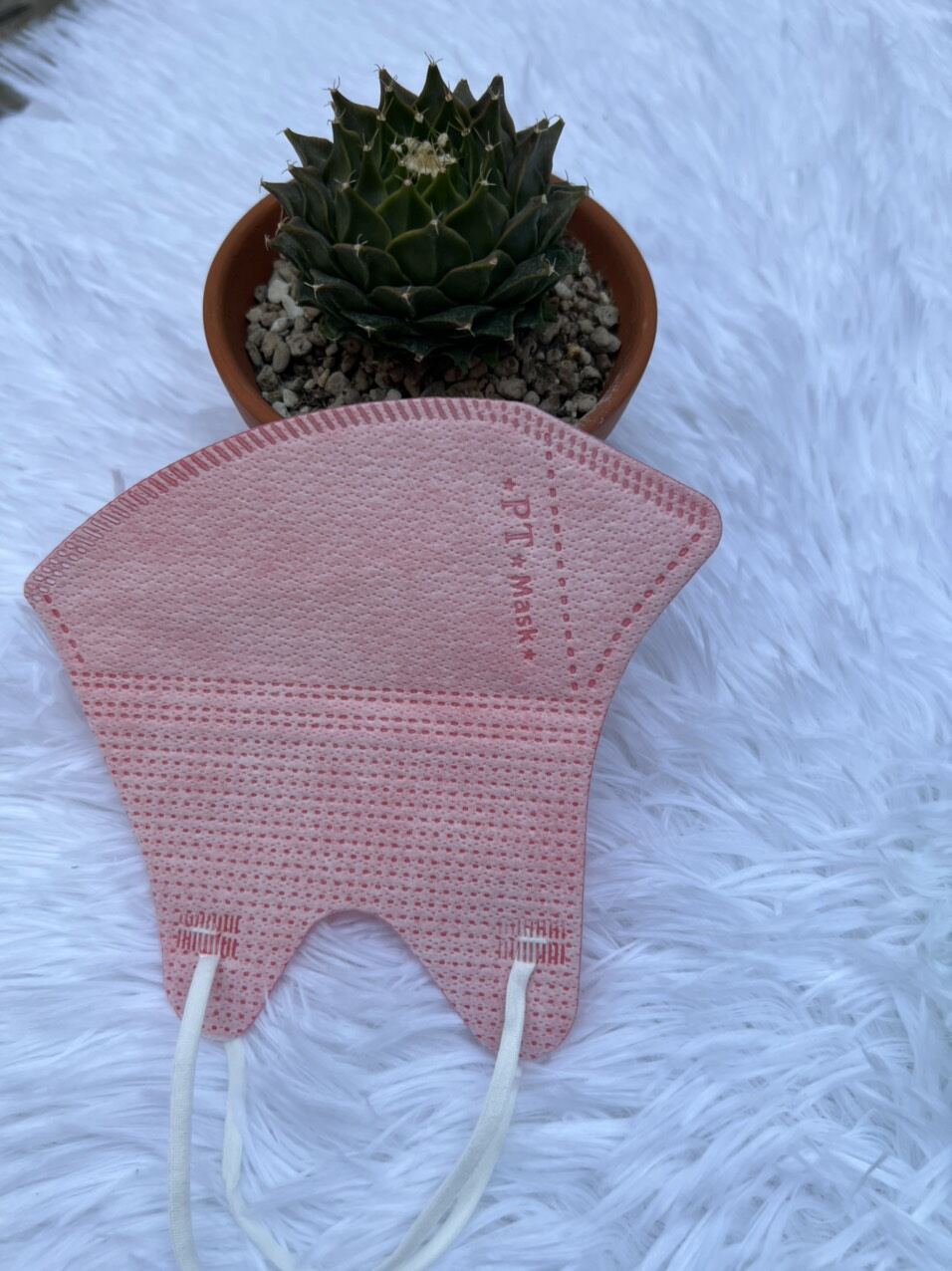 [ Thùng 100 Cái ] Khẩu Trang 5D PT Mask Cao Cấp.