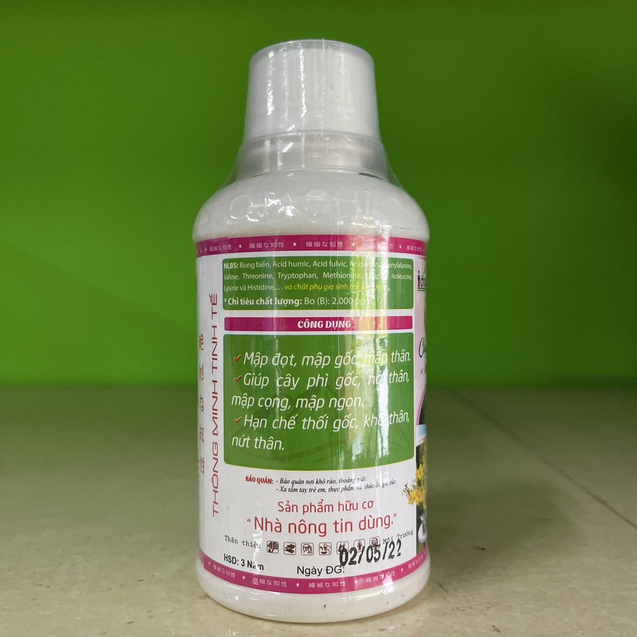 otachi múp mập thân cành 100 ml
