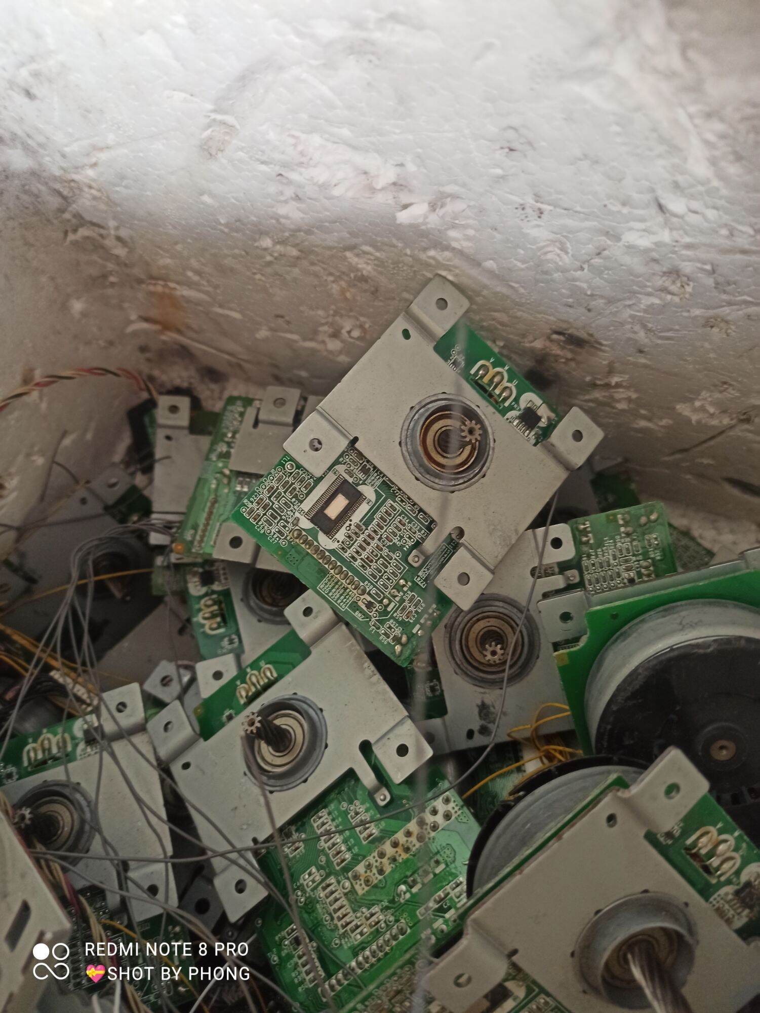 combo 5 motor Brussels cốt 6mm