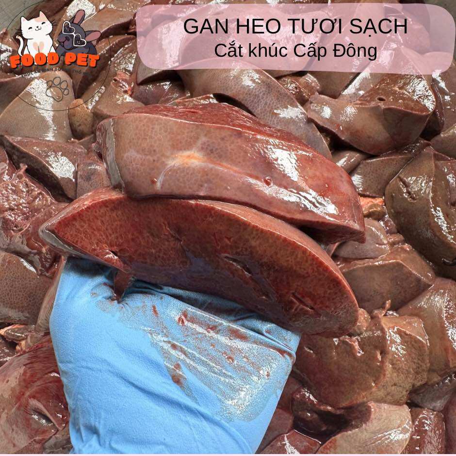 Gan Heo Tươi Làm Pate Cho Chó Mèo - FoodPet - Hỏa tốc