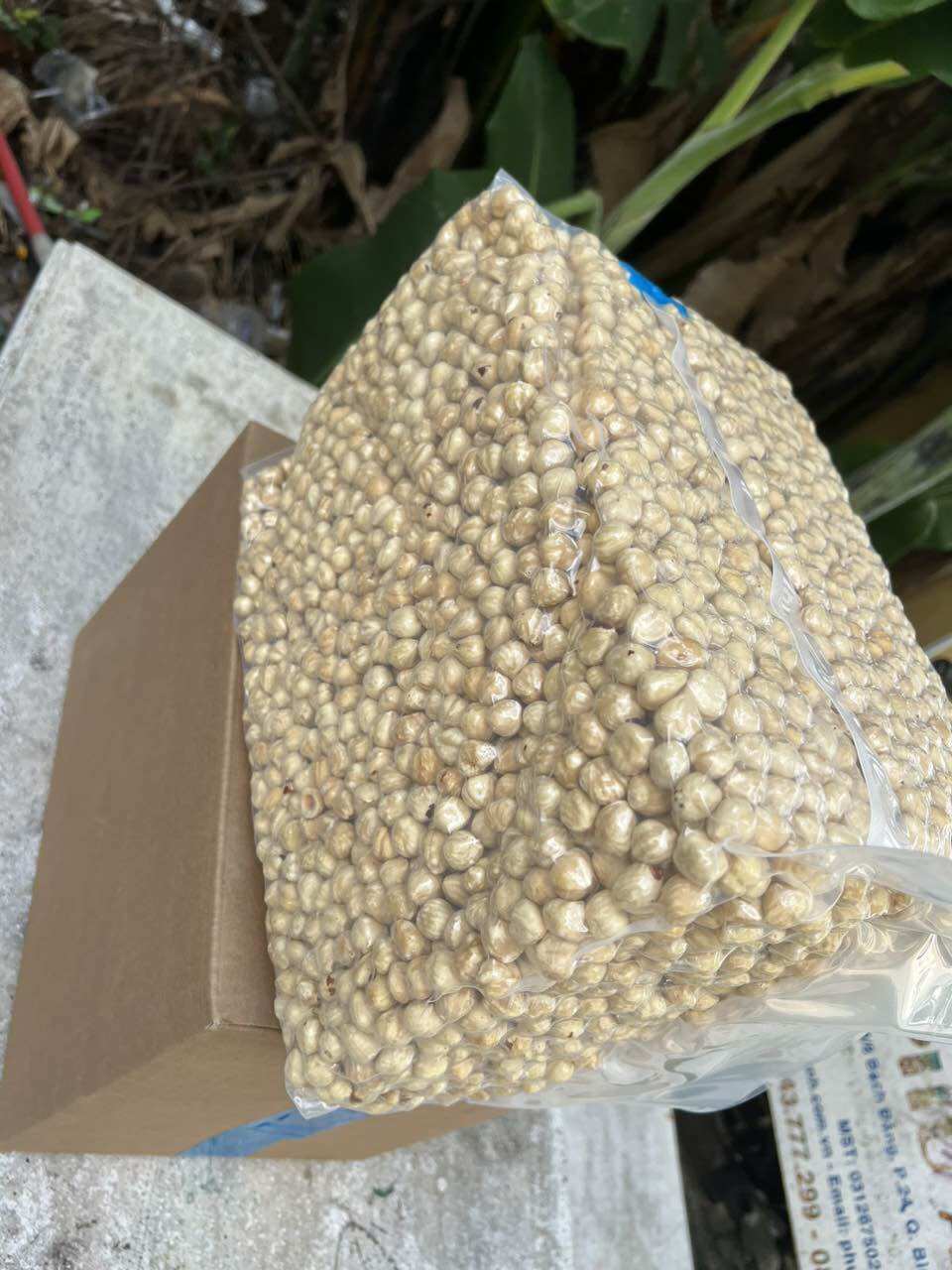 500Gr Nhân hạt phỉ Hazelnuts nhập khẩu Mỹ