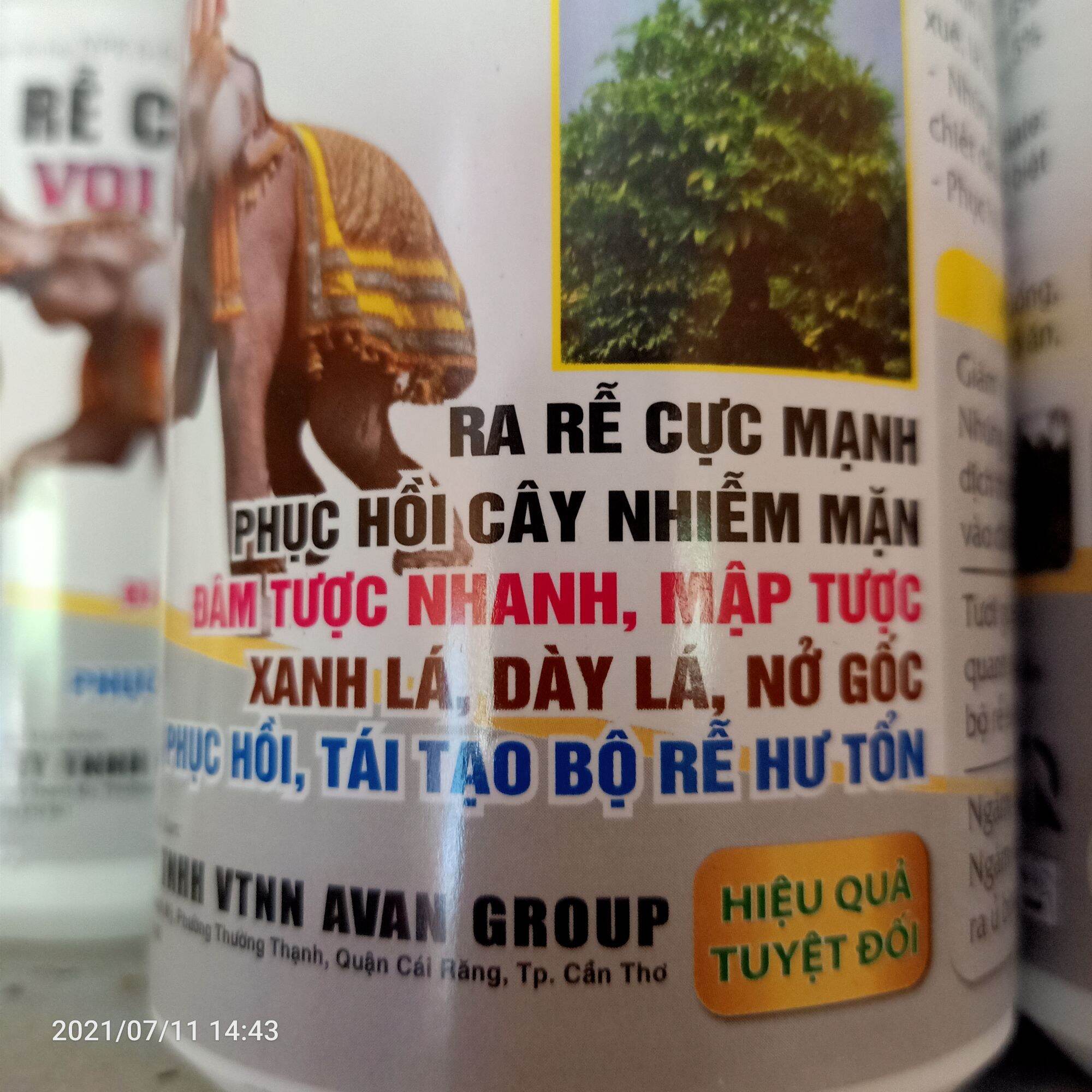 RA RỄ CỰC MẠNH, CHUYÊN KÍCH THÍCH RA RỄ (VOI THÁI)