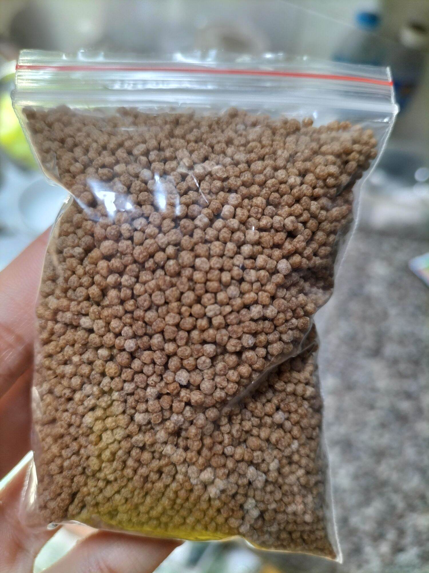 Cám thức ăn cho rùa nước