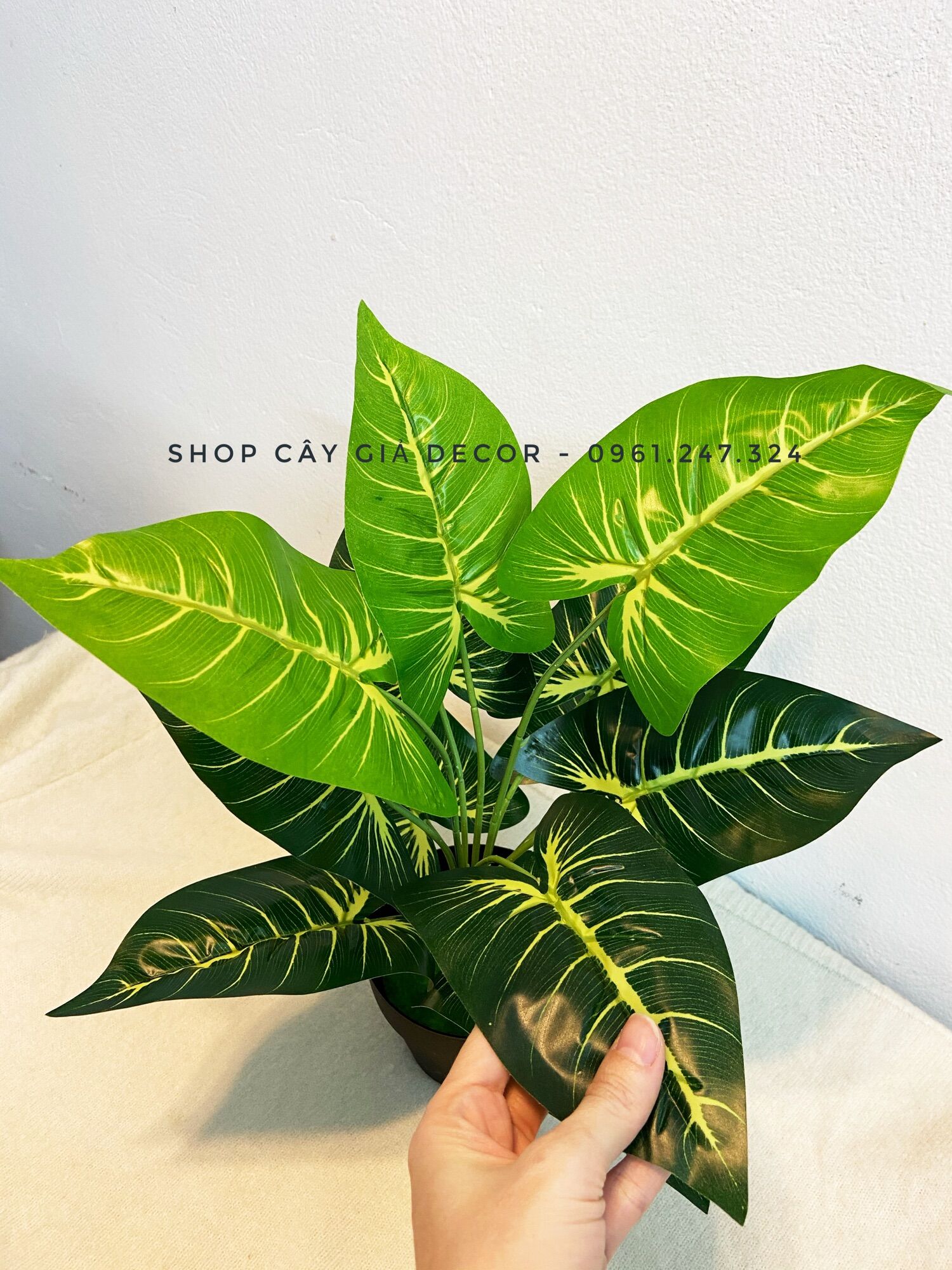 Cây giả - trầu bà sọc 40cm