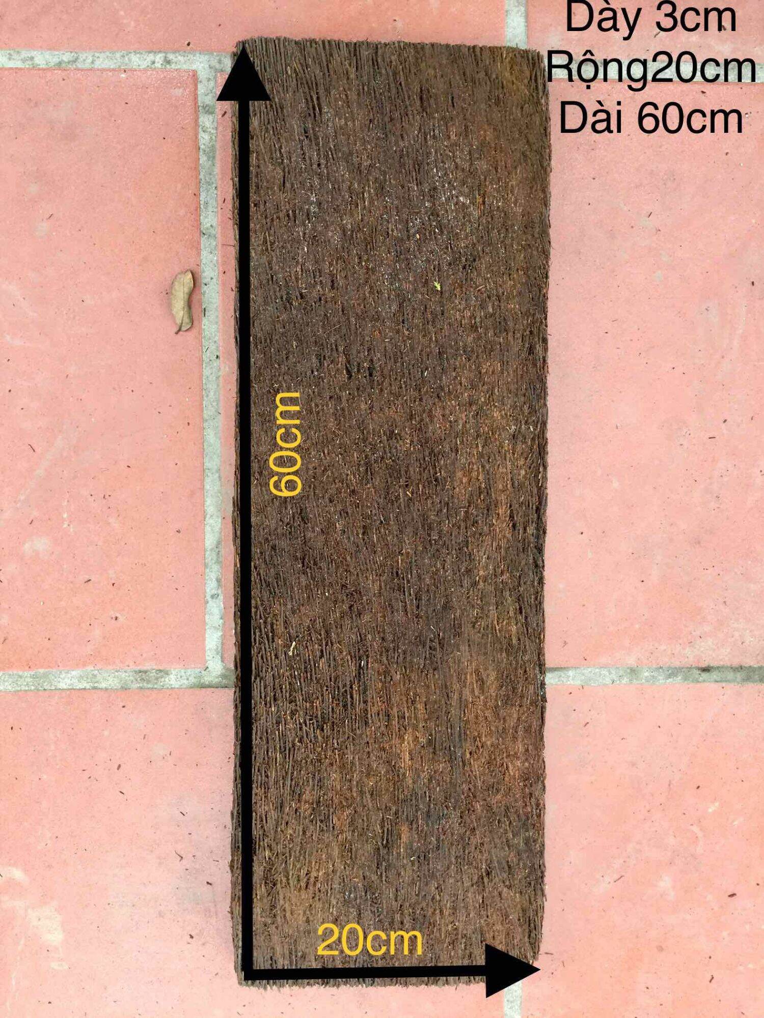 Dớn bảng dài ghép lan 60x20x3