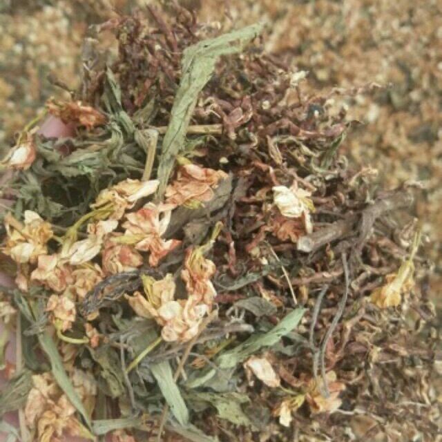 Trà sơn mật hồng sâm ( túi 1kg) đặc sản sapa nhiều hoa