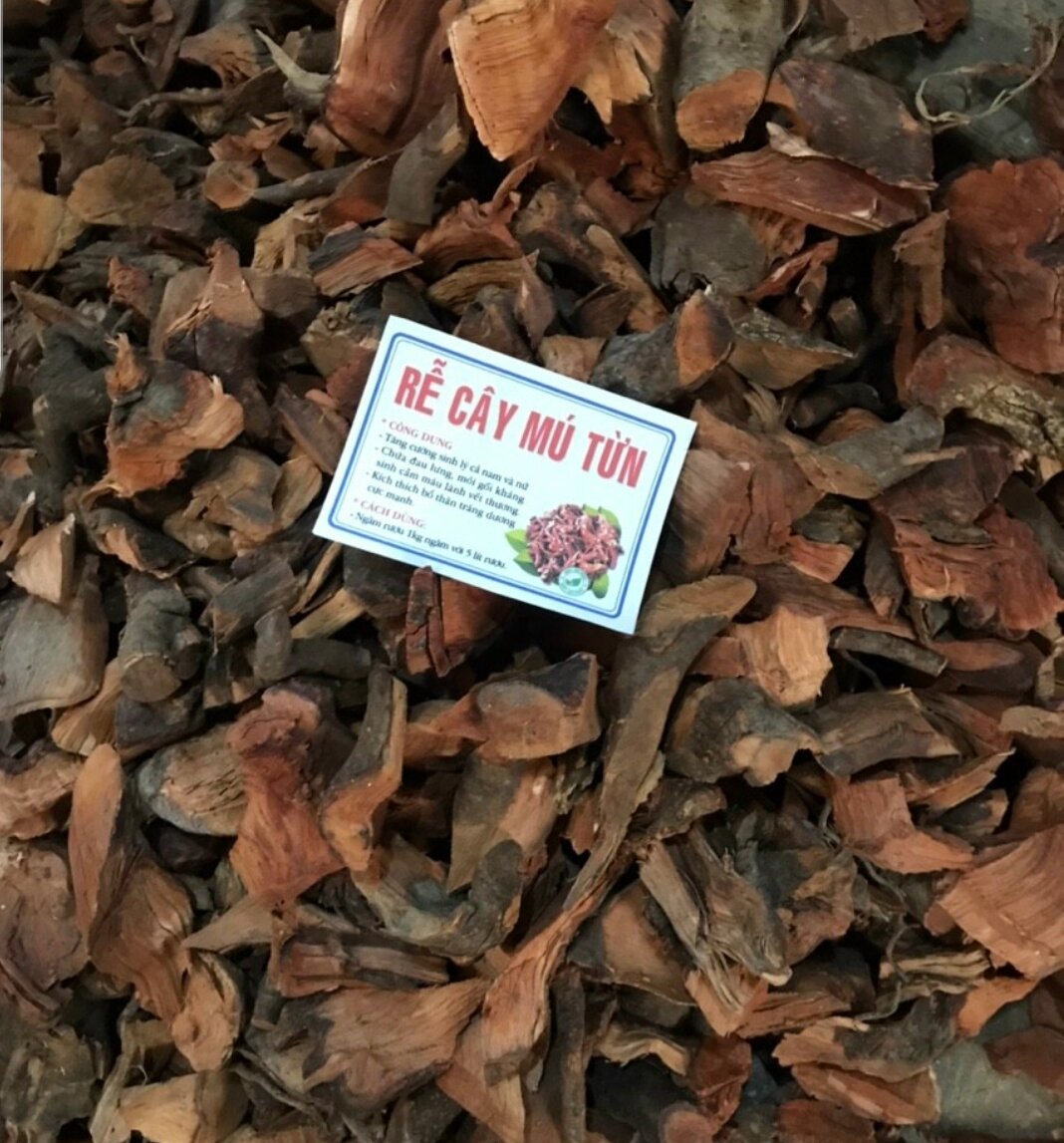 Rễ Cây Mú Từn 1kg