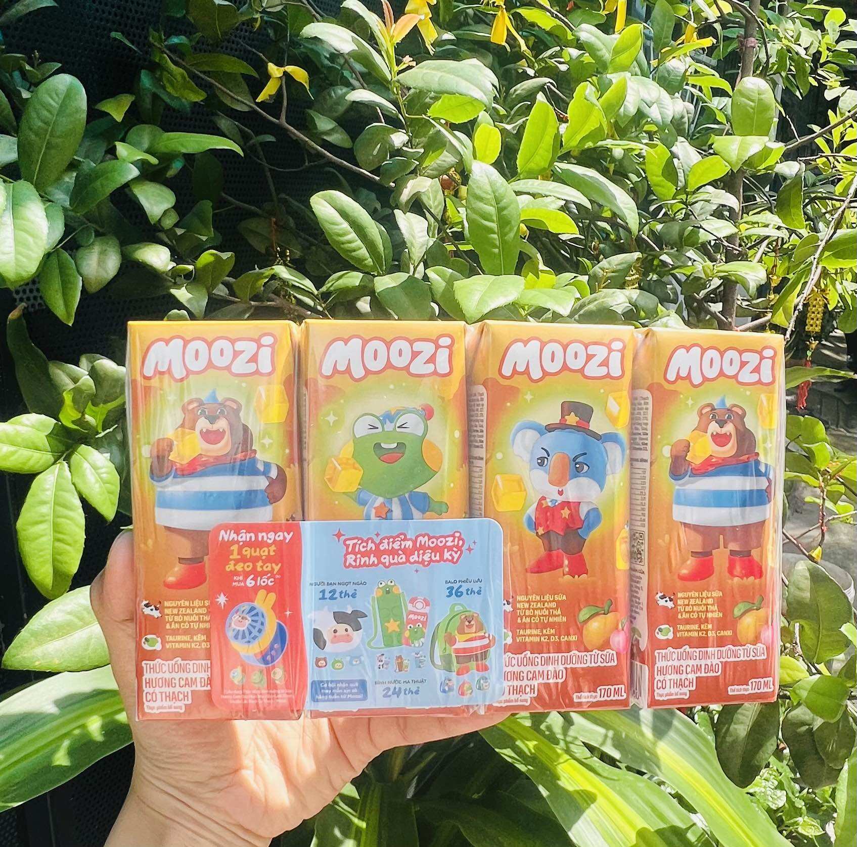 Lốc 4 hộp sữa thạch trái cây Moozi có 4 vị (4 hộp x 170ml) - 4