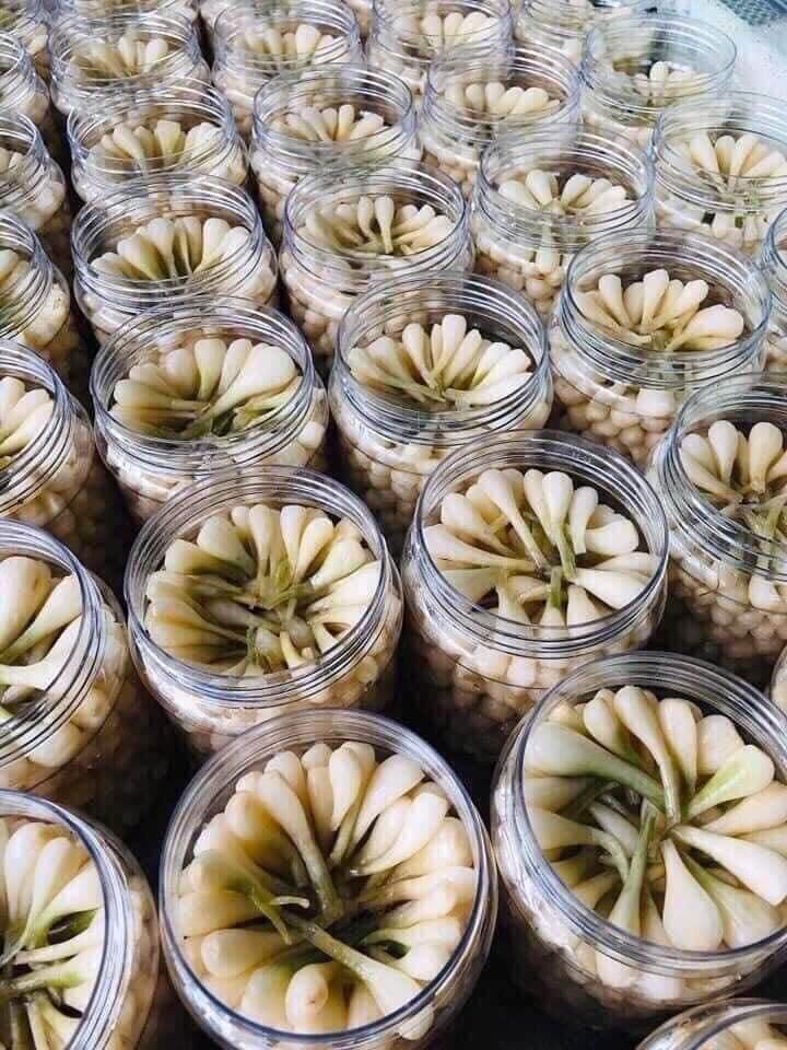 Kiệu Huế ngâm chua ngọt 500g