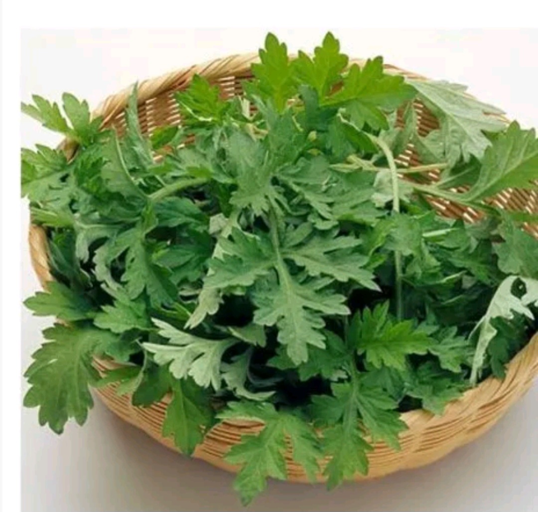 1 Ký Ngải Cứu Khô, hàng sạch, mới