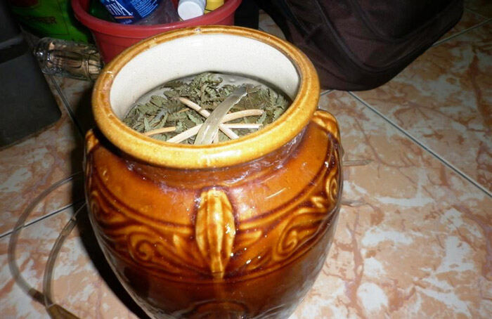 Rượu Cần Tây Bắc Mường Khói (Loại 1)