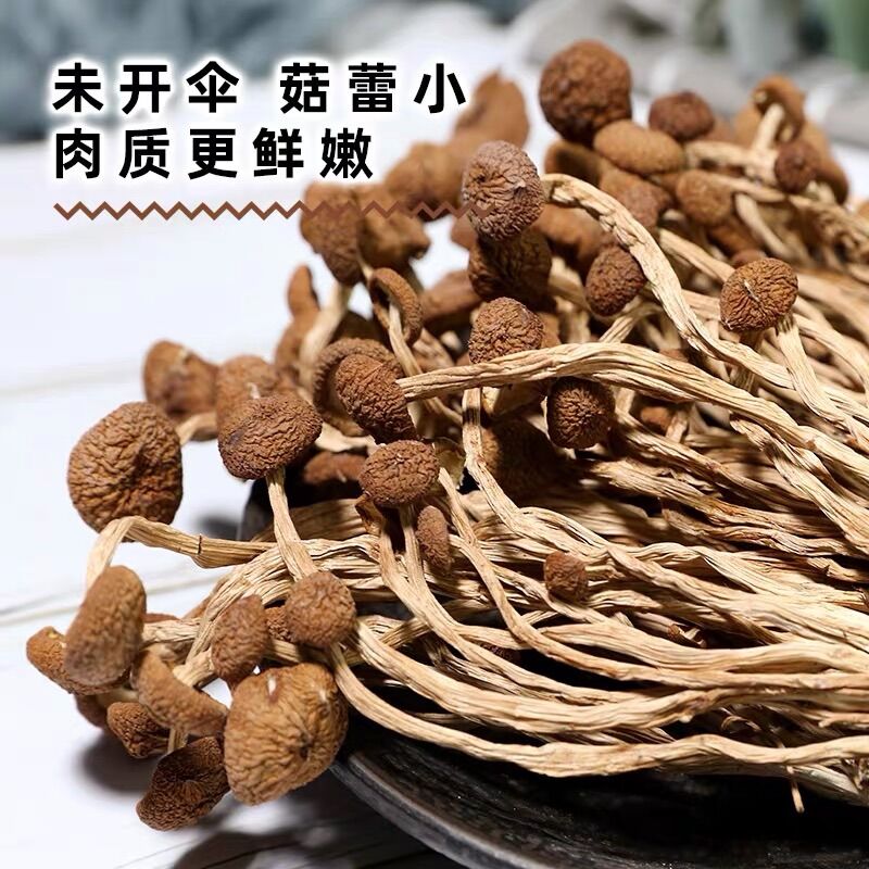 Nấm trà thụ 250g 茶树菇250g