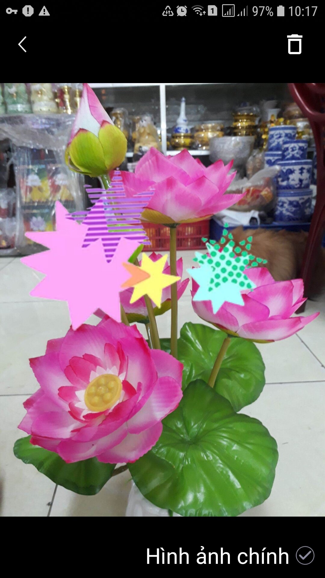 Hoa sen vải gương sen nhỏ