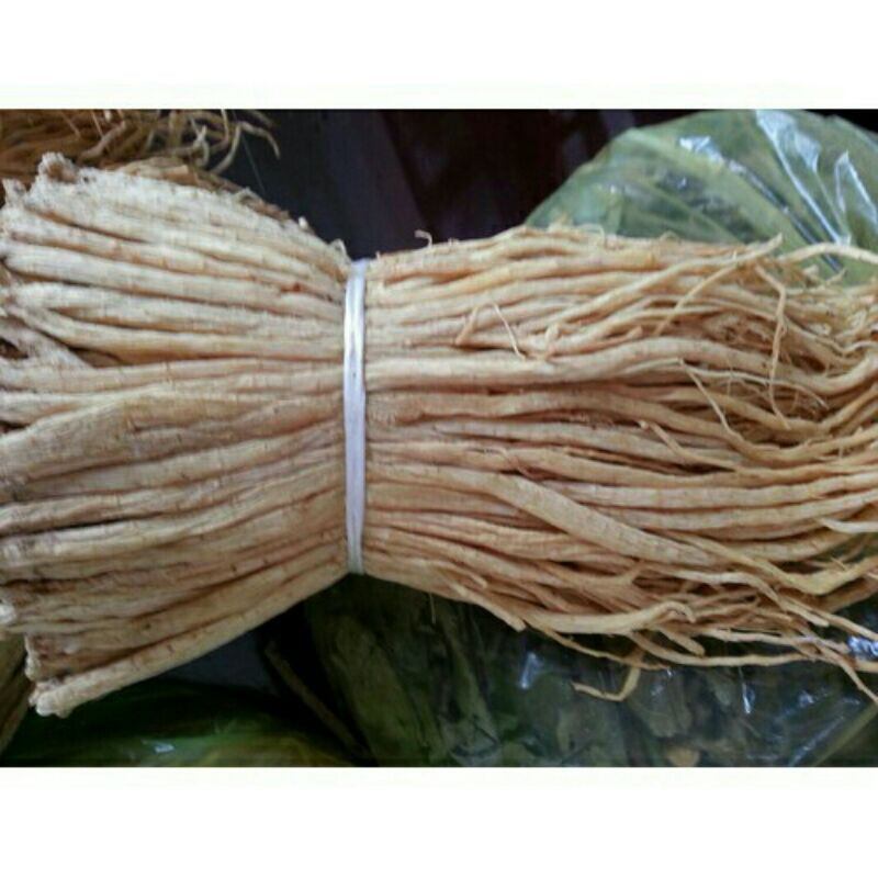 100GR Đảng Sâm ( Đẳng Sâm) Khô Loại 1