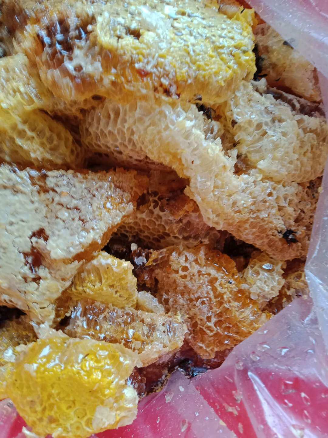 Mật ong rừng xứ Lạng nguyên chất  (nguyên sáp hộp 1kg)