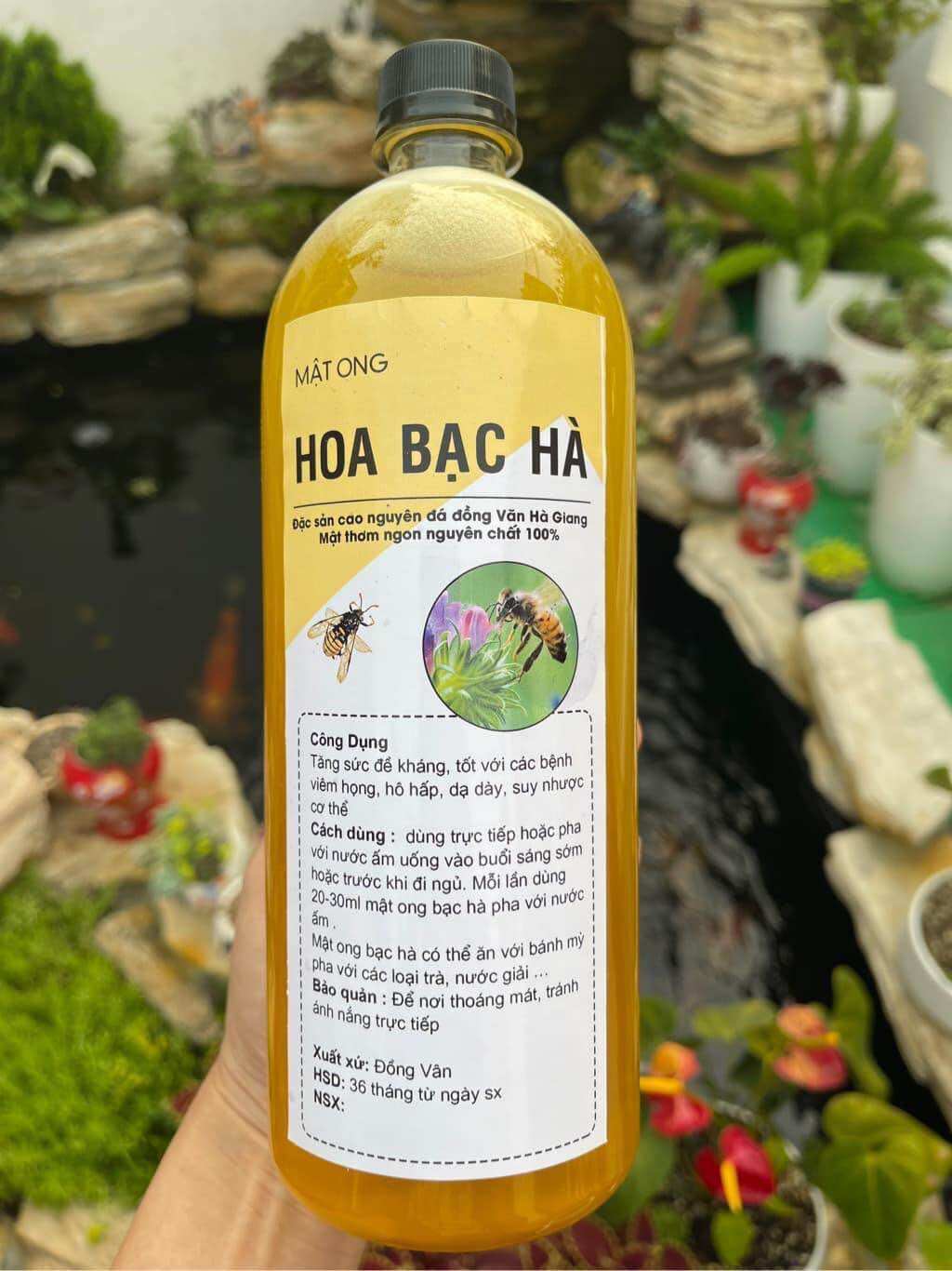 Mật ong nguyên chất hoa bạc hà - mật ong bạc trực tiếp từ trang trại ong Hà Giang - cam kết mật ong nguyên chất không gấy nóng - mật ông honey Hà Giang - mật ong rừng nguyên chất - đặc sản tây bắc 333