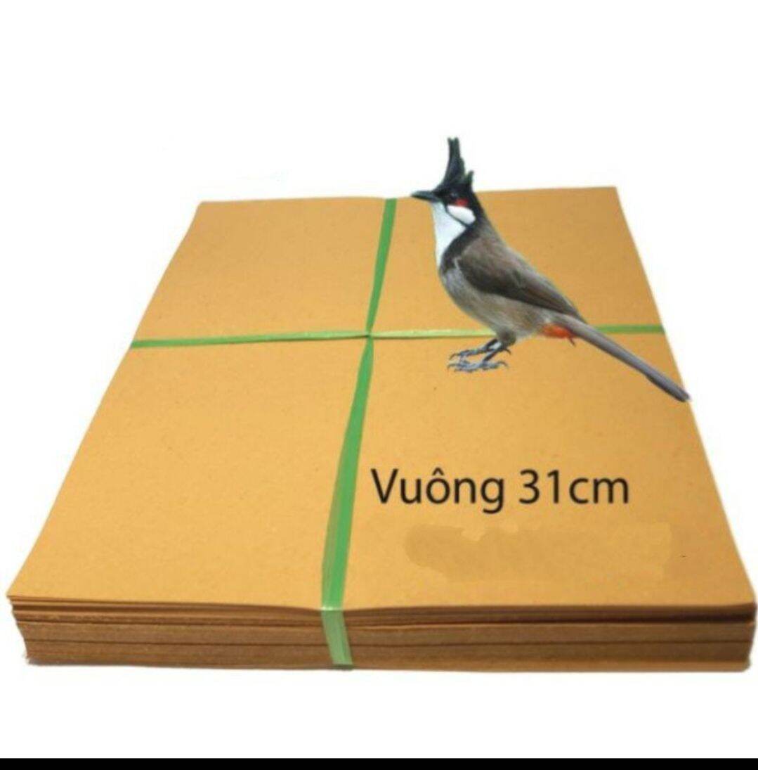 giấy lót lồng đủ kích cỡ