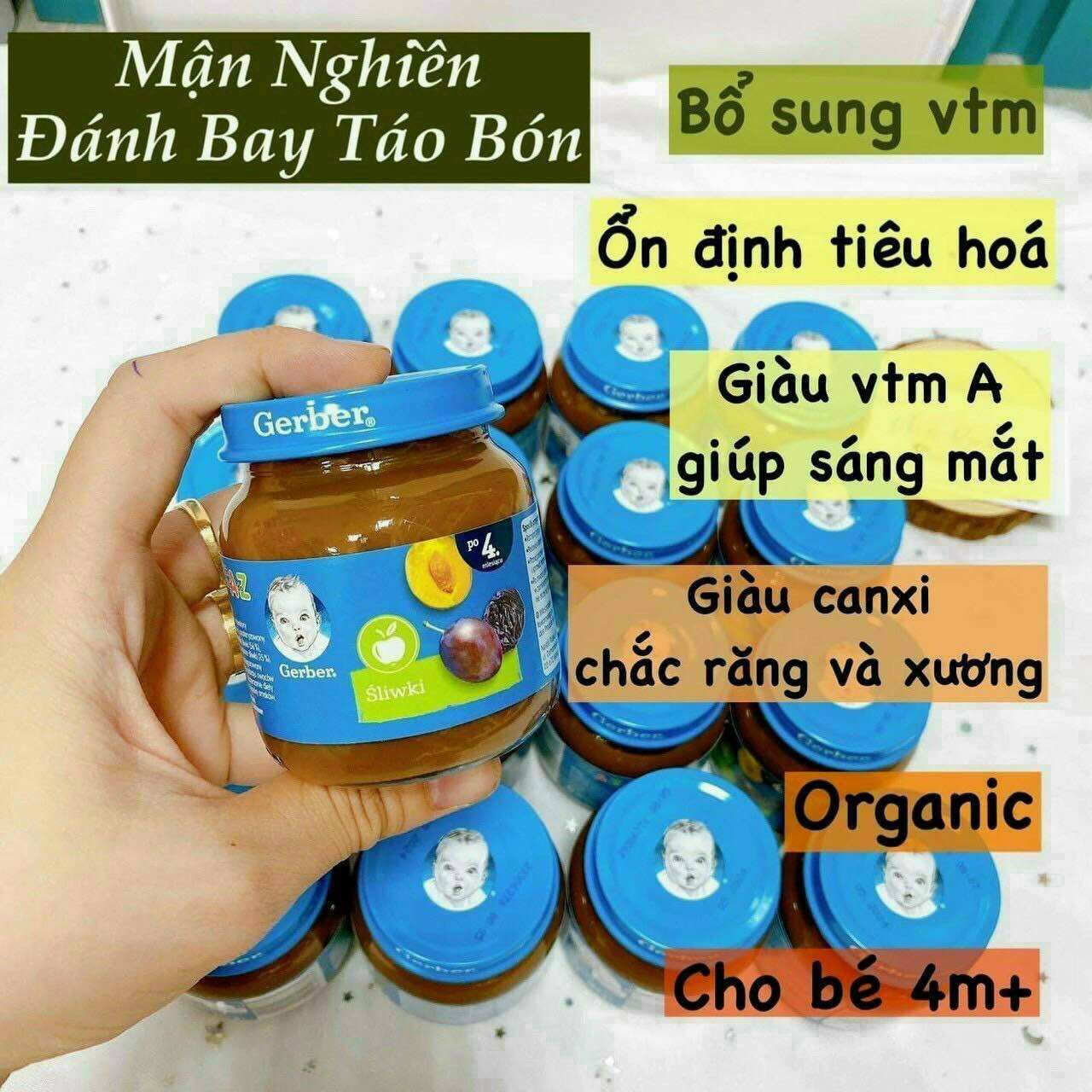Mận đen nghiền gerber nga date 2025