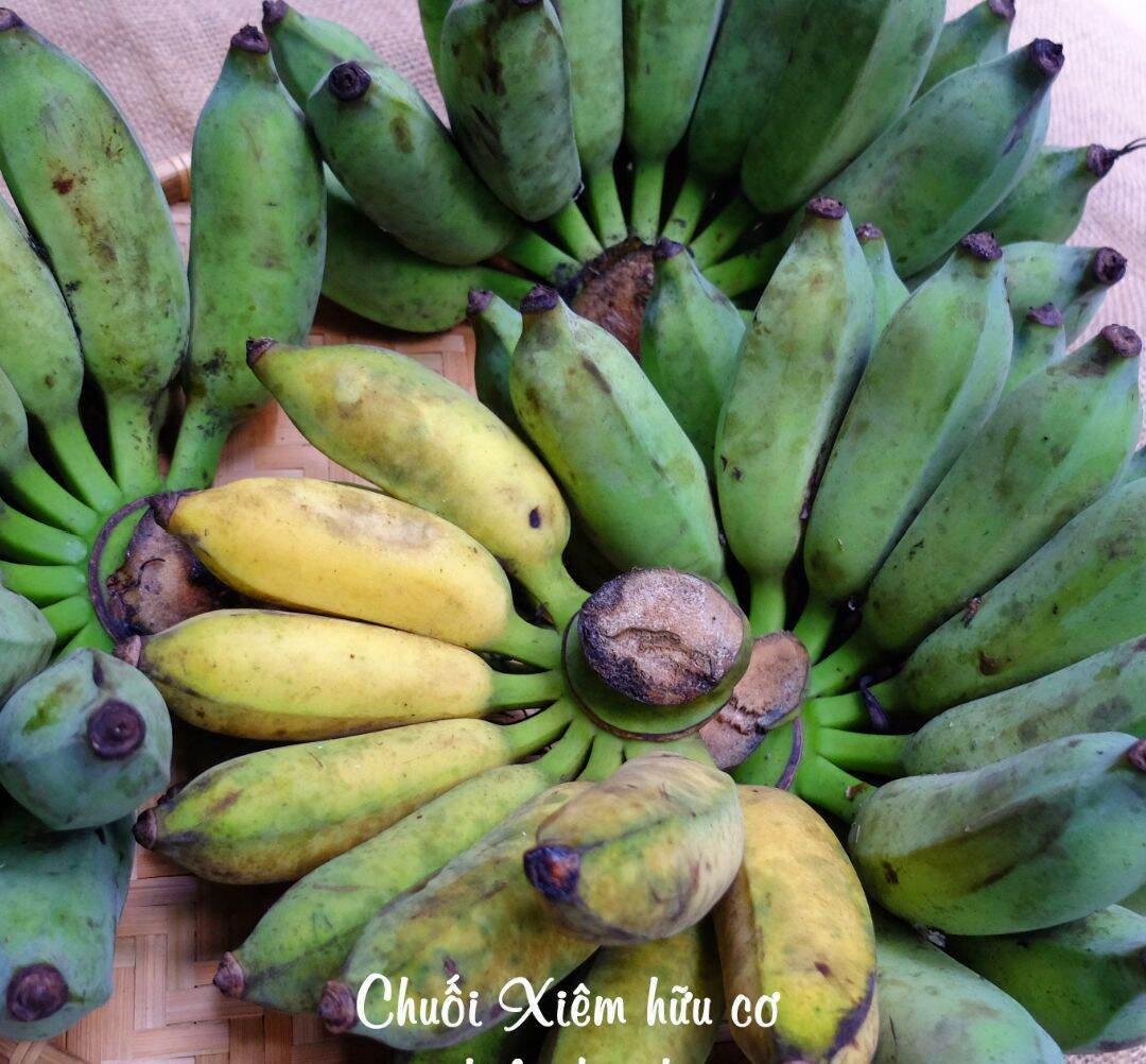1Kg- Chuối xiêm xanh