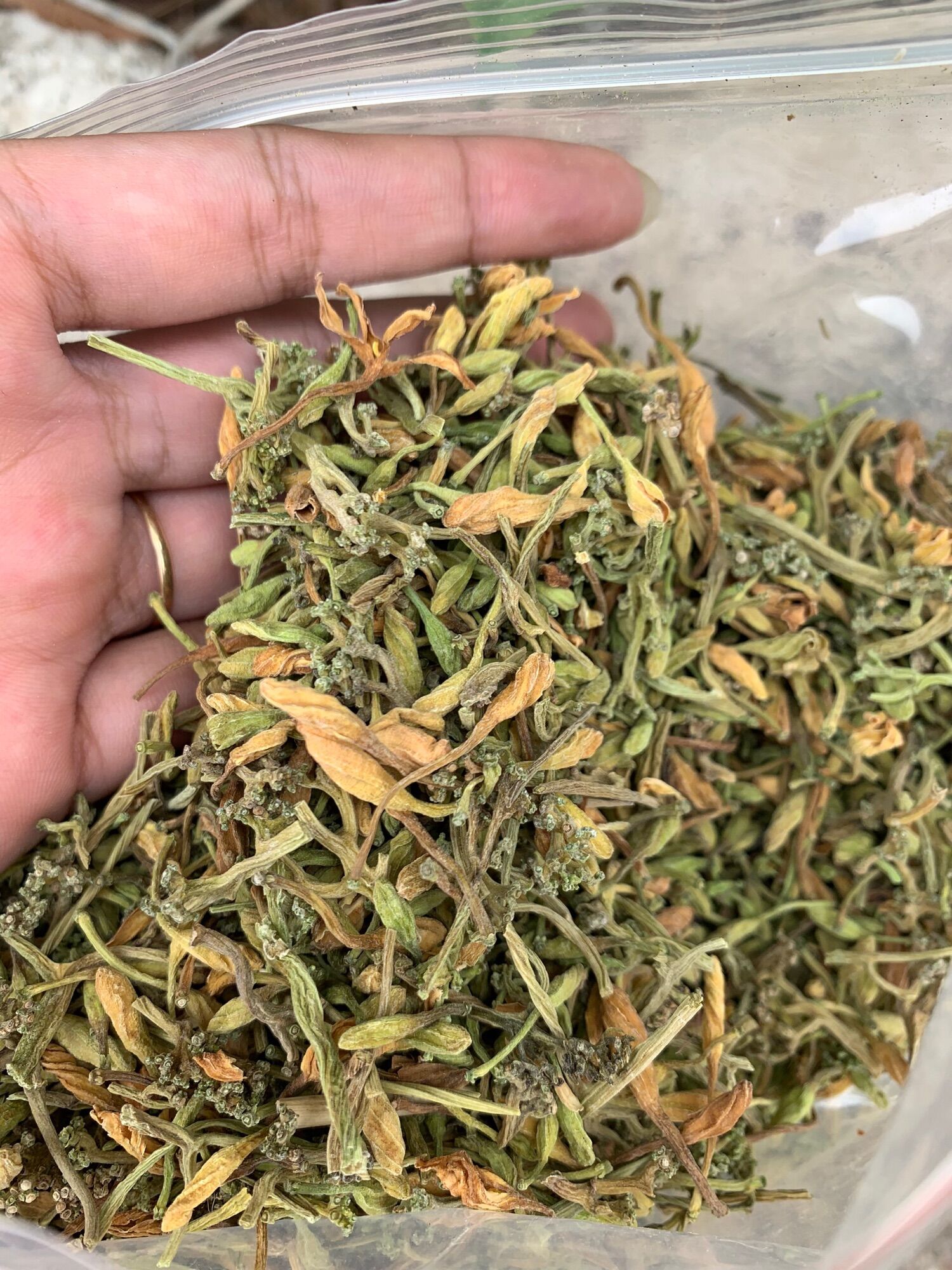Hoa đu đủ sấy khô 100g-500g-1kg