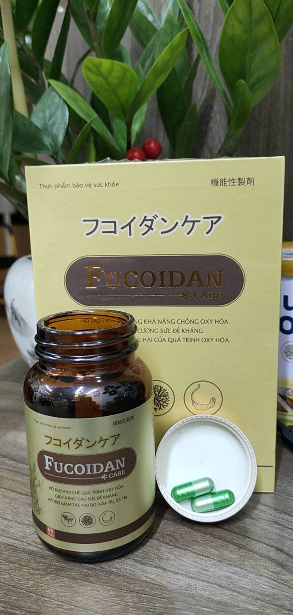 Viên Uống Fucoidan Care