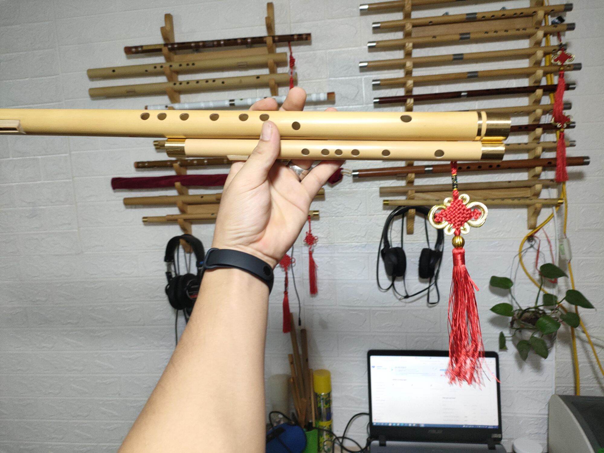Sáo mèo việt