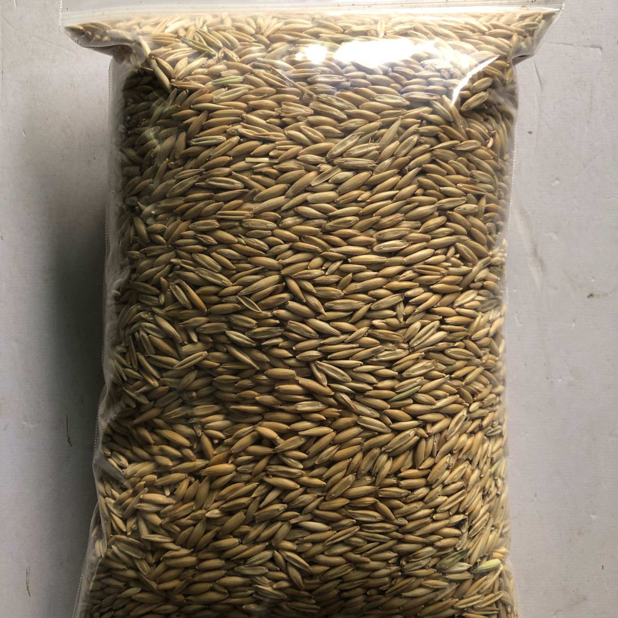 500g Hạt yến mạch cho gà, vẹt, hamster, sóc