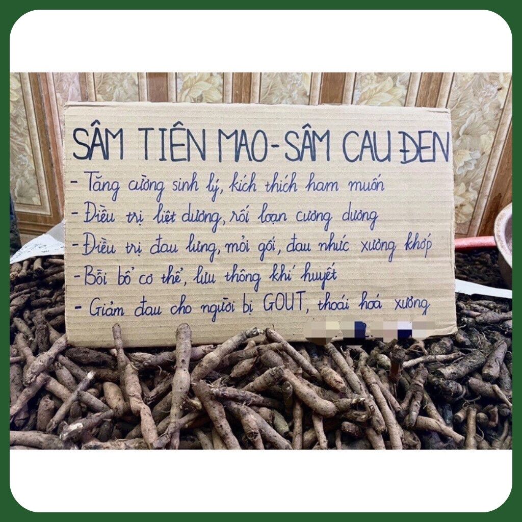 Sâm cau đen ( tiên mao ) loại 1 bổ can thận, mạnh gân cốt