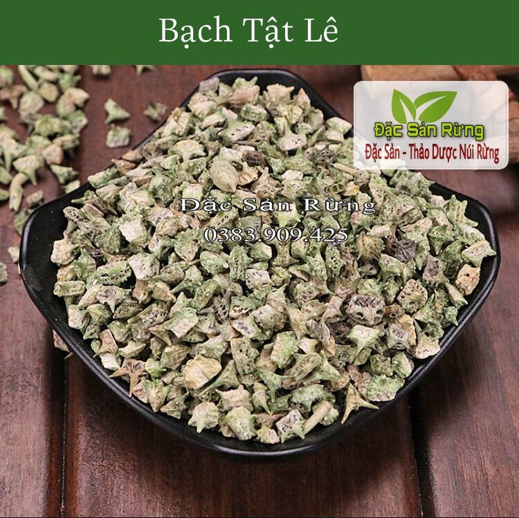 Bạch tật lê hàng xanh , đẹp